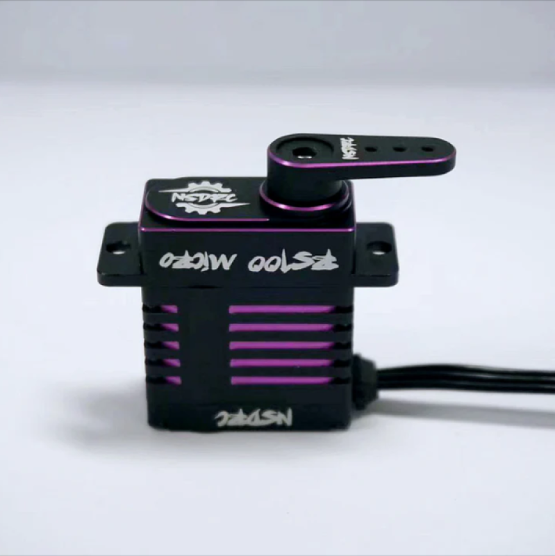 RS100 Servo & Horn Special Edition Purple